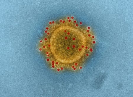 Come la Cina sta affrontando il nuovo Coronavirus